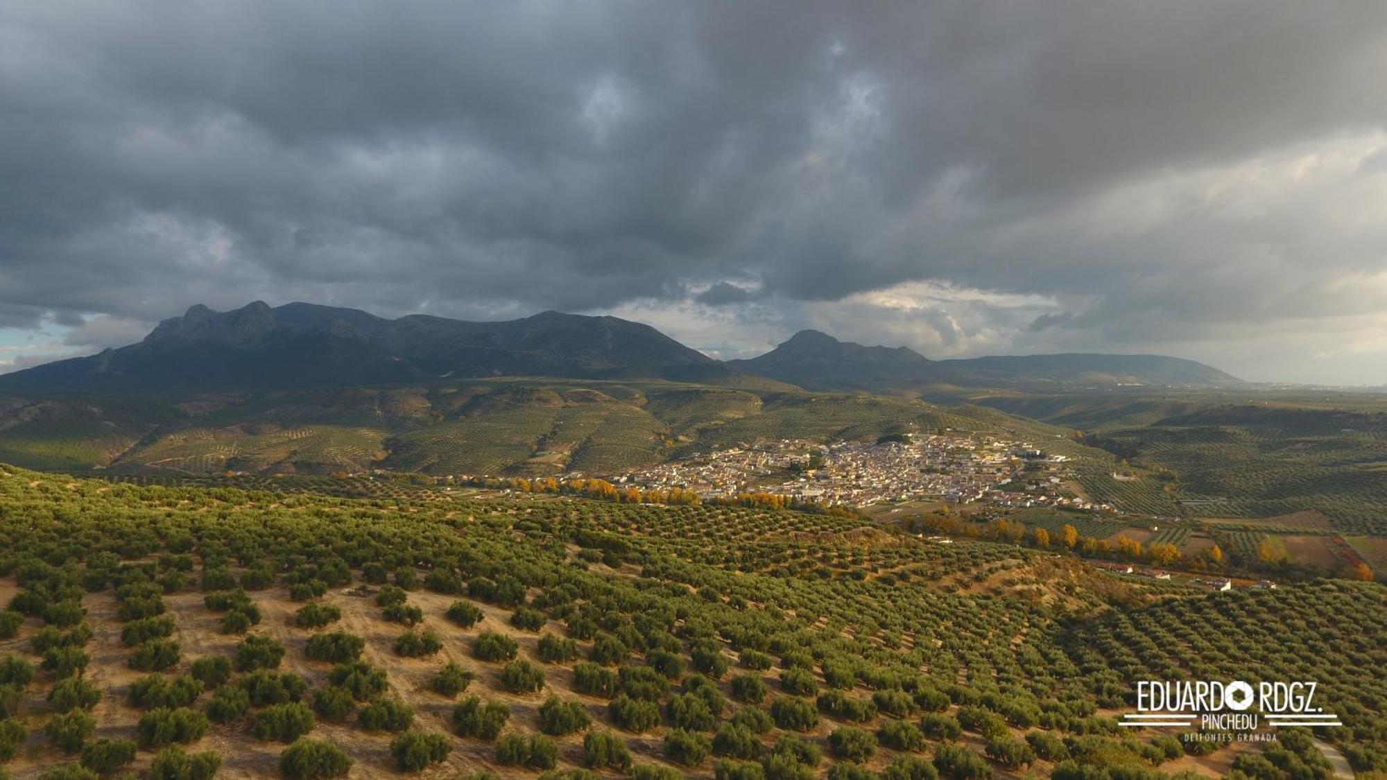 Alojamiento Rural Caserio De La Fuente Deifontes Eksteriør bilde